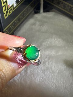 (Category: ) located in . Submitted by elfairy (Listing ID 1301949544, Image 1). Description: .