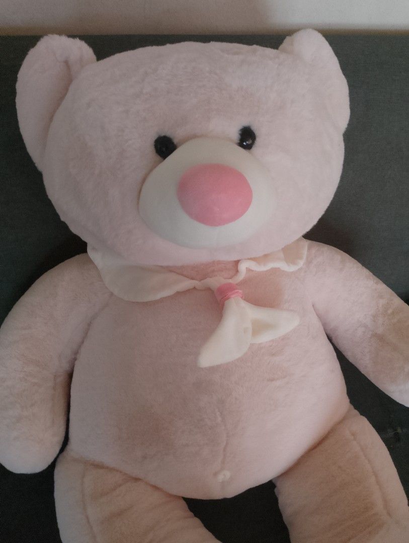 Harga teddy bear kaison shop