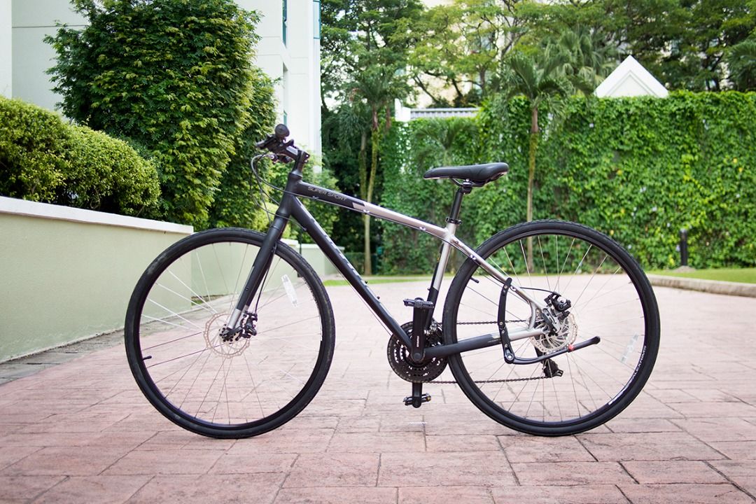 Schwinn super sport 2 disc online
