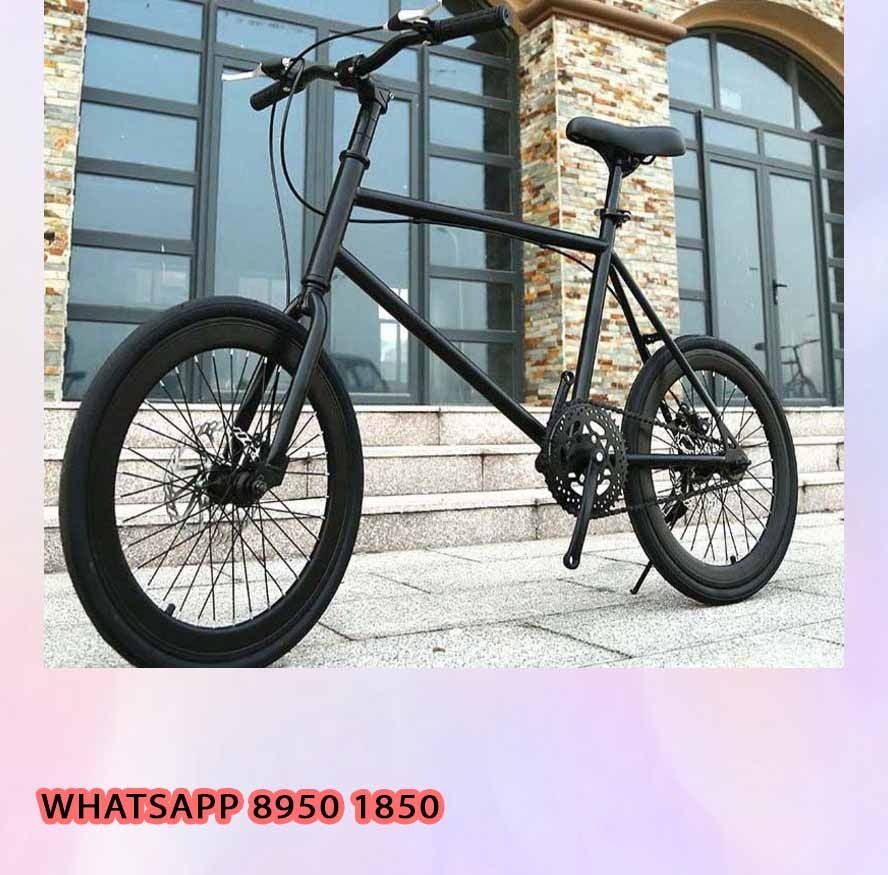 VIEWING AND TESTING 20 Inch DASHLAB Mini Velo bag rack mesh child food lady 16 26 27.5 29 kid delivery adult seat 20 children thermal baby Put
