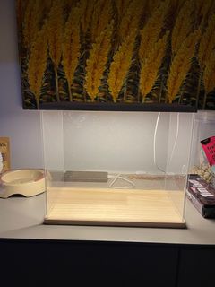 (Category: ) located in . Submitted by bill2626 (Listing ID 1302040624, Image 1). Description: .