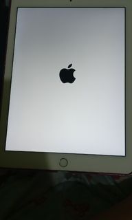 Apple iPad Air 2 WIFI 64gb