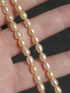 Champagne Rice Pearl Necklace from Japan