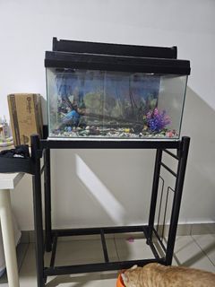 (Category: ) located in . Submitted by khaled_m (Listing ID 1302194287, Image 1). Description: .