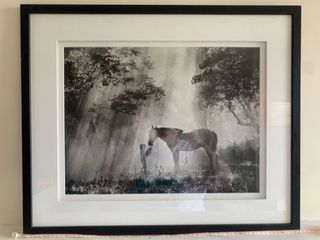 Framed Photograph by Argentinian Artist Pedro Luis Raota