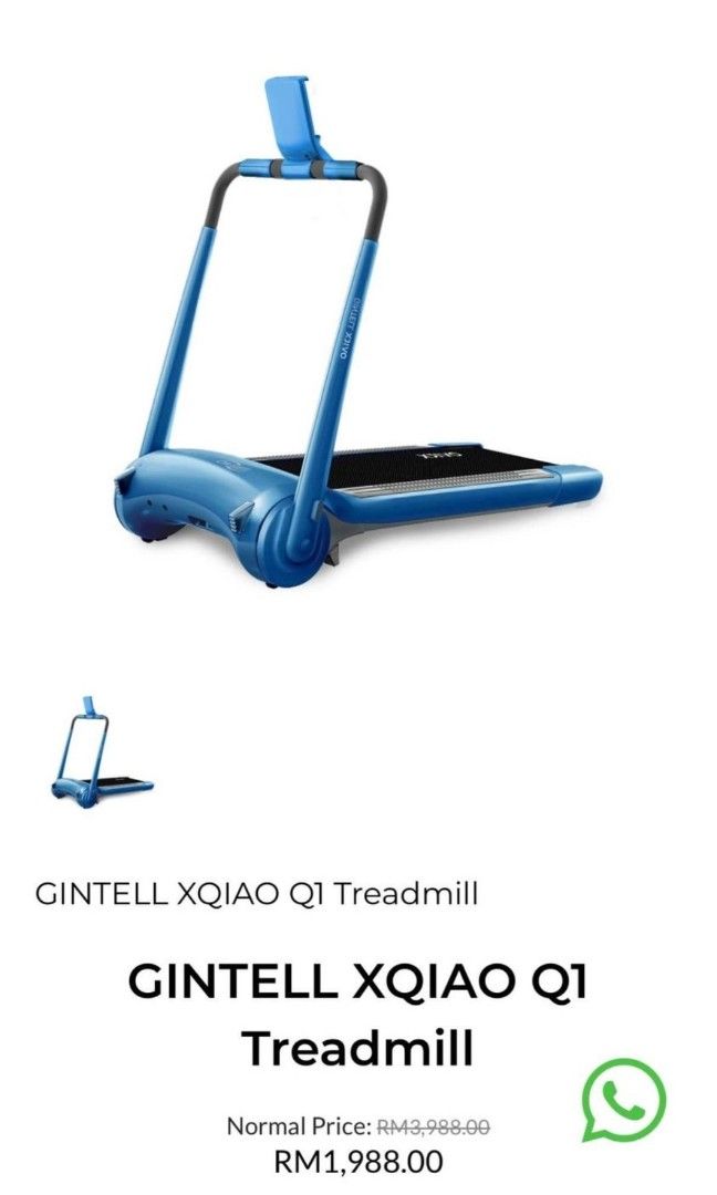 Gintell q1 2025