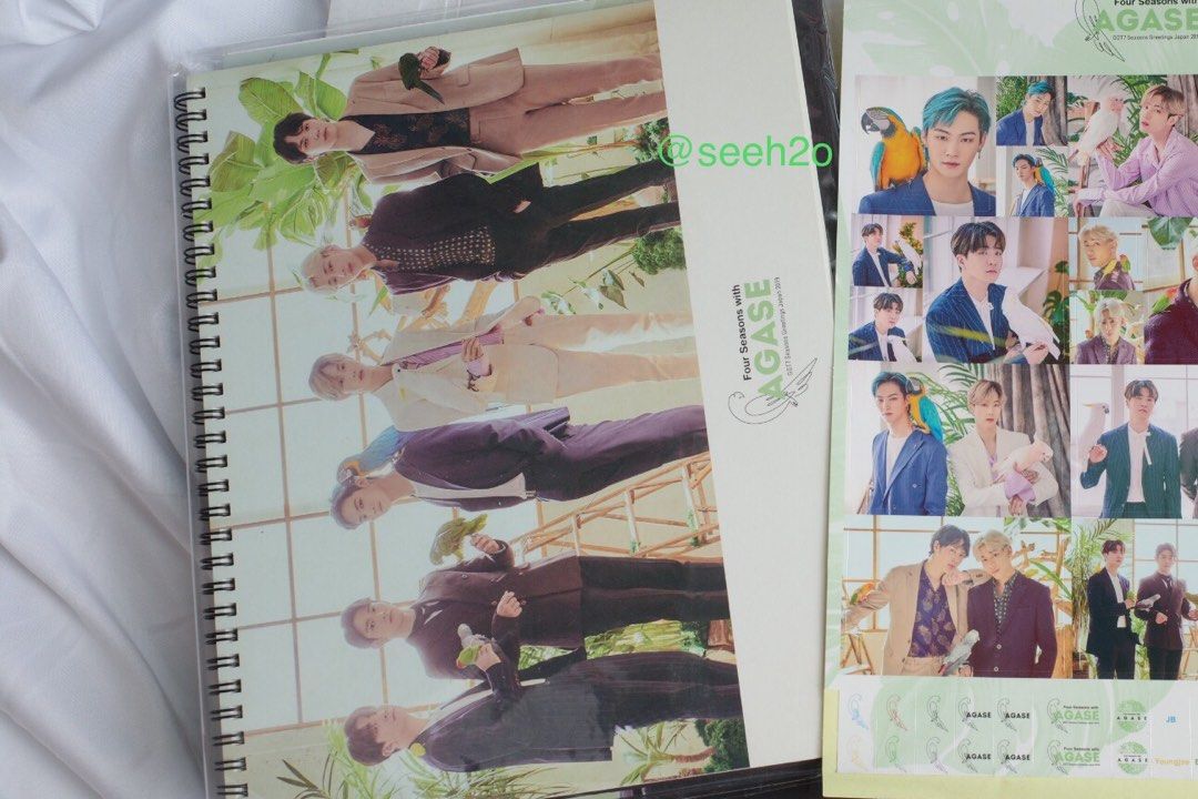 【新品未開封】GOT7 シーグリ2019 日本限定 AGASE GOT7 Seasons Greetings Japan 2019 “Four Seasons with AGASE, 玩具