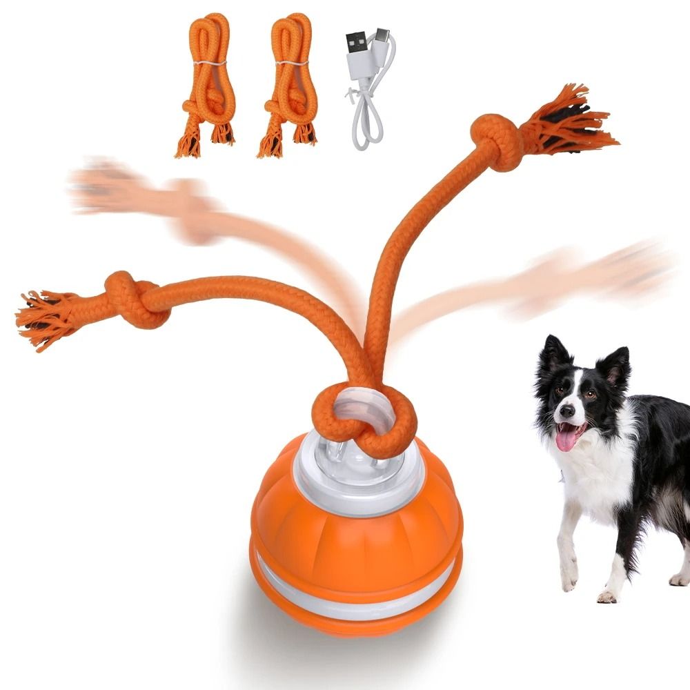 Smart dog toys outlet