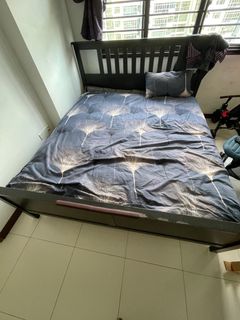 (Category: ) located in . Submitted by paw_k (Listing ID 1302125184, Image 1). Description: .