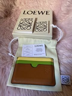 Loewe Multicolor Card Holder