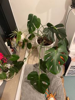 （分類：）位於 。 由 jwemi 提交（商品編號 1302195433，圖片 1）。簡介： 。