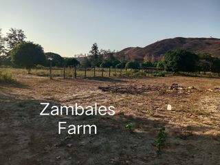 10 hectares farmland