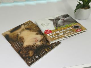 （分類：）位於 。 由 elim628 提交（商品編號 1302308863，圖片 1）。簡介： 。
