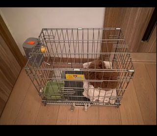 （分類：）位於 。 由 gingerzah 提交（商品編號 1302266692，圖片 1）。簡介： 。