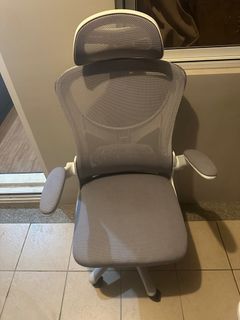 Ergonomic chair grey