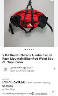 The north face belt bag