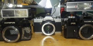 Vintage Display Cameras