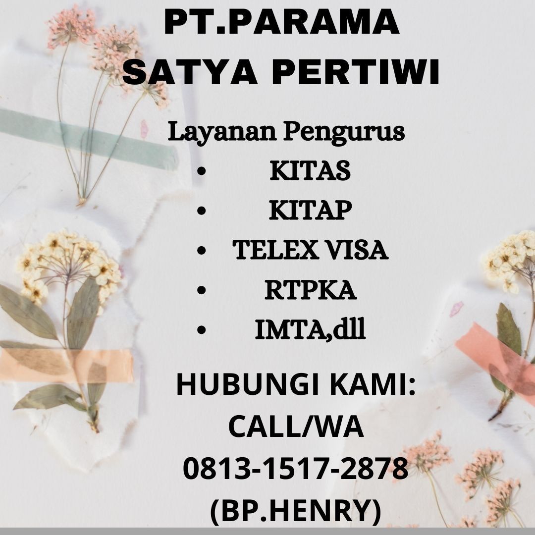 watsapp_o81315172878_jasa_kita_1715131023_72d65046_progressive