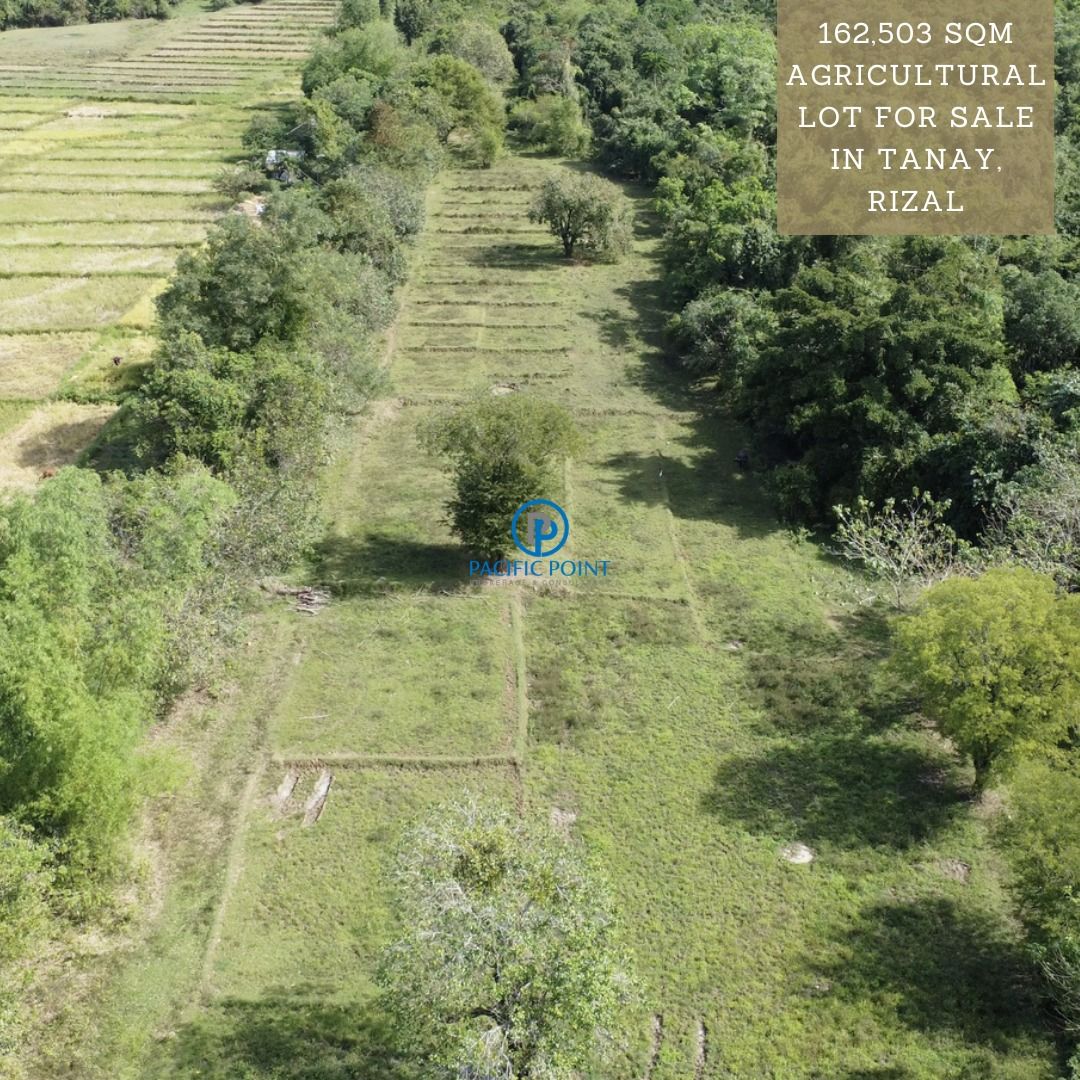 16.2 Hectares Farm Lot For Sale in Tanay Rizal, Property, For Sale, Lot