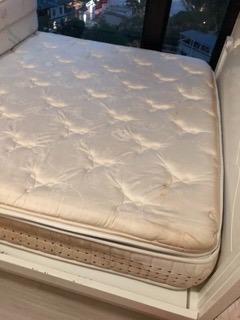 （分類：）位於 。 由 preloved021 提交（商品編號 1302535166，圖片 1）。簡介： 。