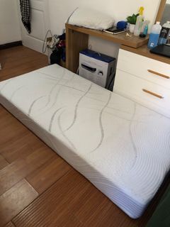 Bed Mattress Mandaue Flex Form Memory Foam