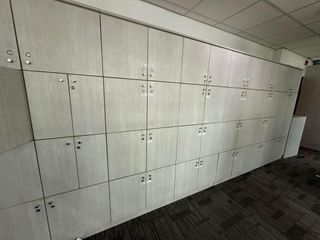Cabinet locker wood