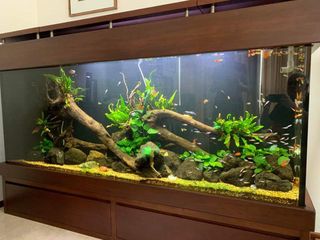 (Category: ) located in . Submitted by charintip (Listing ID 1302397883, Image 1). Description: .