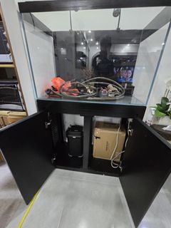 (Category: ) located in . Submitted by shashayakob (Listing ID 1302490567, Image 1). Description: .