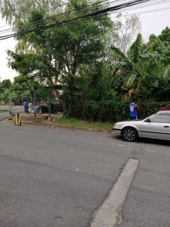 For Sale Better Living Paranaque Manila Residential or Commercial Vacant Lot