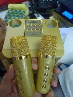 KST-203 With 2 wireless elegant microphone