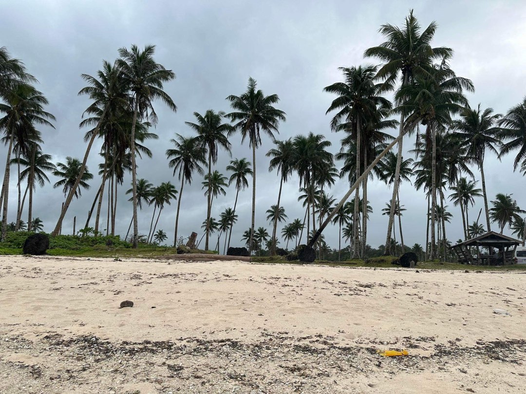 Siargao beach lot for sale, Property, For Sale, Lot on Carousell