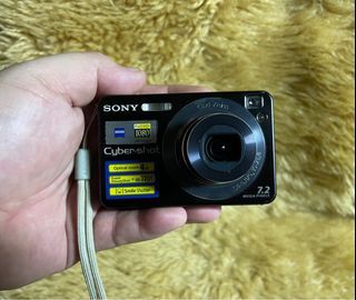 Sony Cybershot DSC-W120 Digital Camera