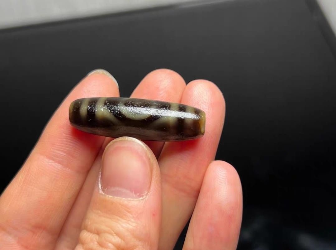 超希少品】西藏天珠The Gzi Beads of Tibet 天珠の本