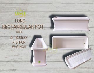 White Rectangular Plastic Pot #8007500 (D:19.5" H:5" W:6") Best for Indoor/Outdoor and Rare Plants