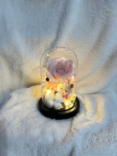 （分類：）位於 。 由 ccyun11 提交（商品編號 1306448284，圖片 1）。簡介： 。