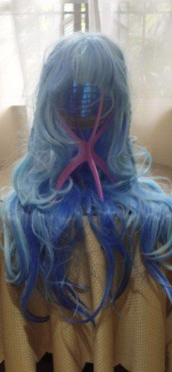 Cosplay Wig & Costume