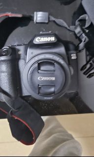 （分類：）位於 。 由 muemue4321 提交（商品編號 1306494203，圖片 1）。簡介： 。