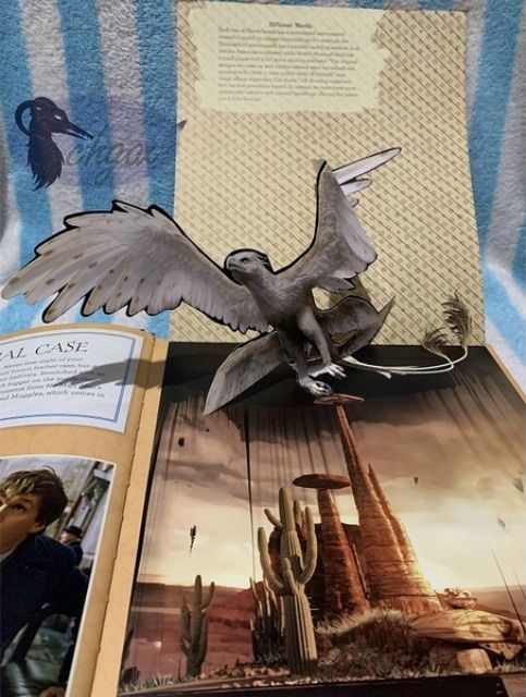 HP J.K. Rowling's Wizarding World Movie Magic Volume 2: Curious ...