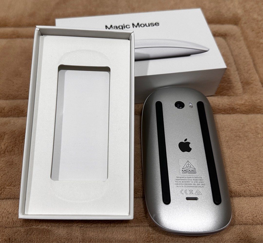 Apple Magic Mouse (with a woven USB-C to Lightning cable)