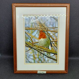 AN51 Home Decor Wood Frame 7"×9" from UK for 120