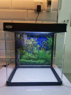 (Category: ) located in . Submitted by alan23wll (Listing ID 1307979680, Image 1). Description: .
