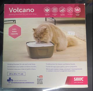 (Category: ) located in . Submitted by singapope (Listing ID 1307964550, Image 1). Description: .