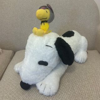 （分類：）位於 。 由 kyy_11 提交（商品編號 1308140328，圖片 1）。簡介： 。