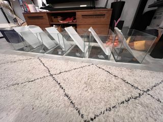 (Category: ) located in . Submitted by nic9331 (Listing ID 1308231884, Image 1). Description: .