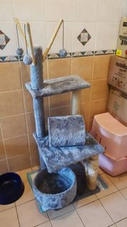 (Category: ) located in . Submitted by dousan (Listing ID 1308189793, Image 1). Description: .
