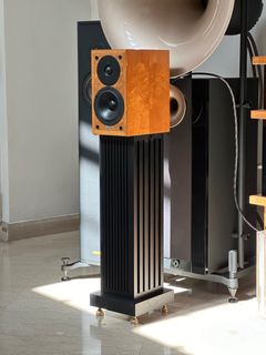 Guizu For Sale Other Audio Equipment Carousell Singapore