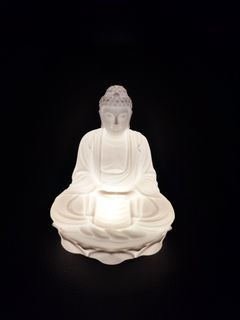 Silicon Buddha
