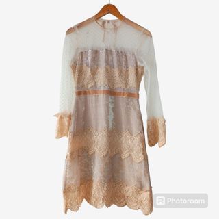 Beige Velvet and  lace Pattern formal Dress