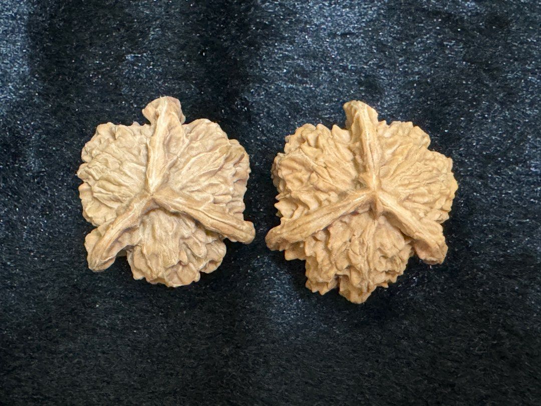 文玩核桃-盘山三棱, 興趣及遊戲, 收藏品及紀念品, 古董收藏- Carousell