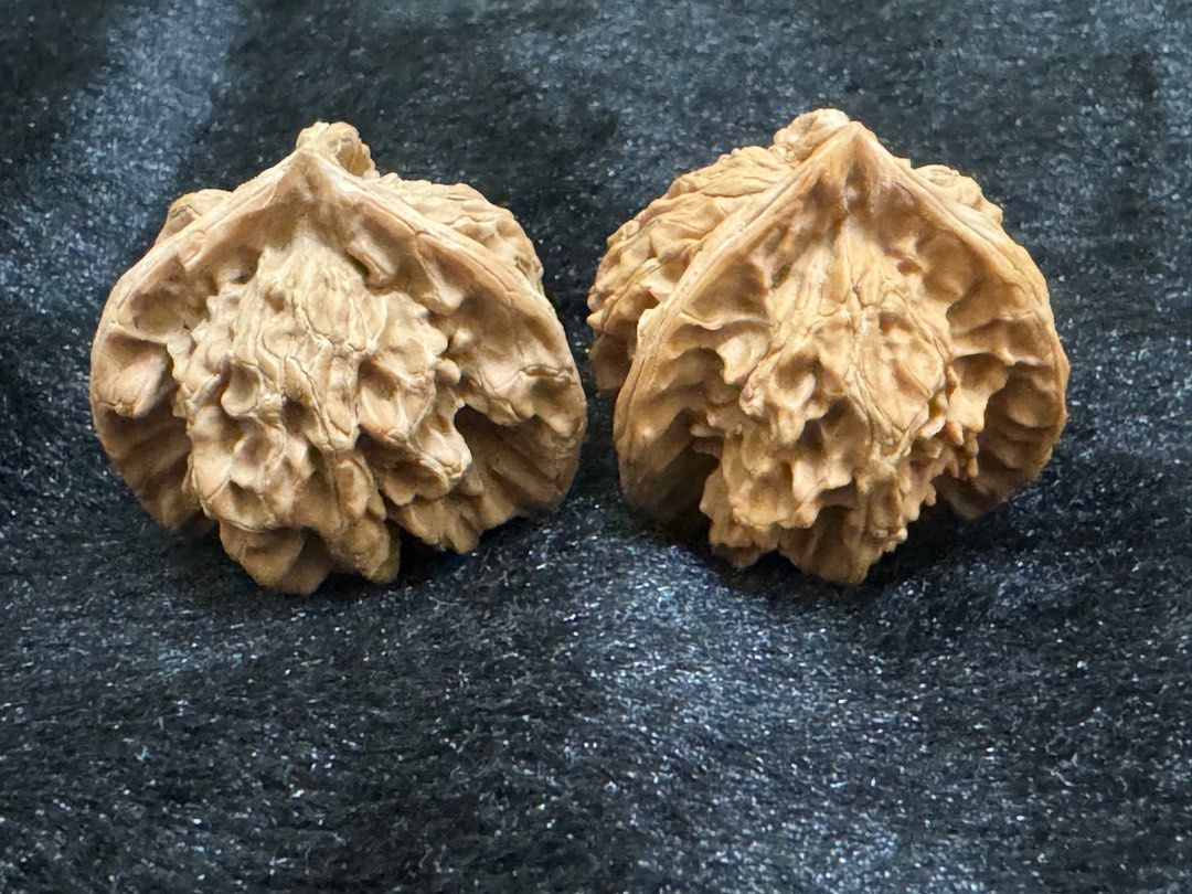 文玩核桃-盘山三棱, 興趣及遊戲, 收藏品及紀念品, 古董收藏- Carousell